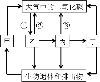 2019年四川教師資格證考試大綱:《科學學科知識及教學能力》(初級中學)