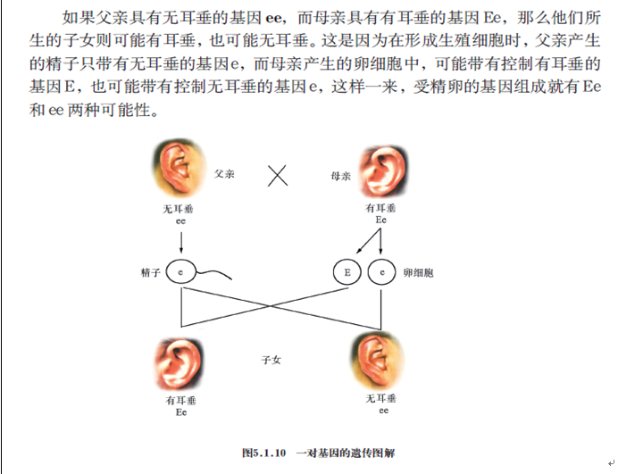 2019年四川教師資格證考試大綱:《科學學科知識及教學能力》(初級中學)
