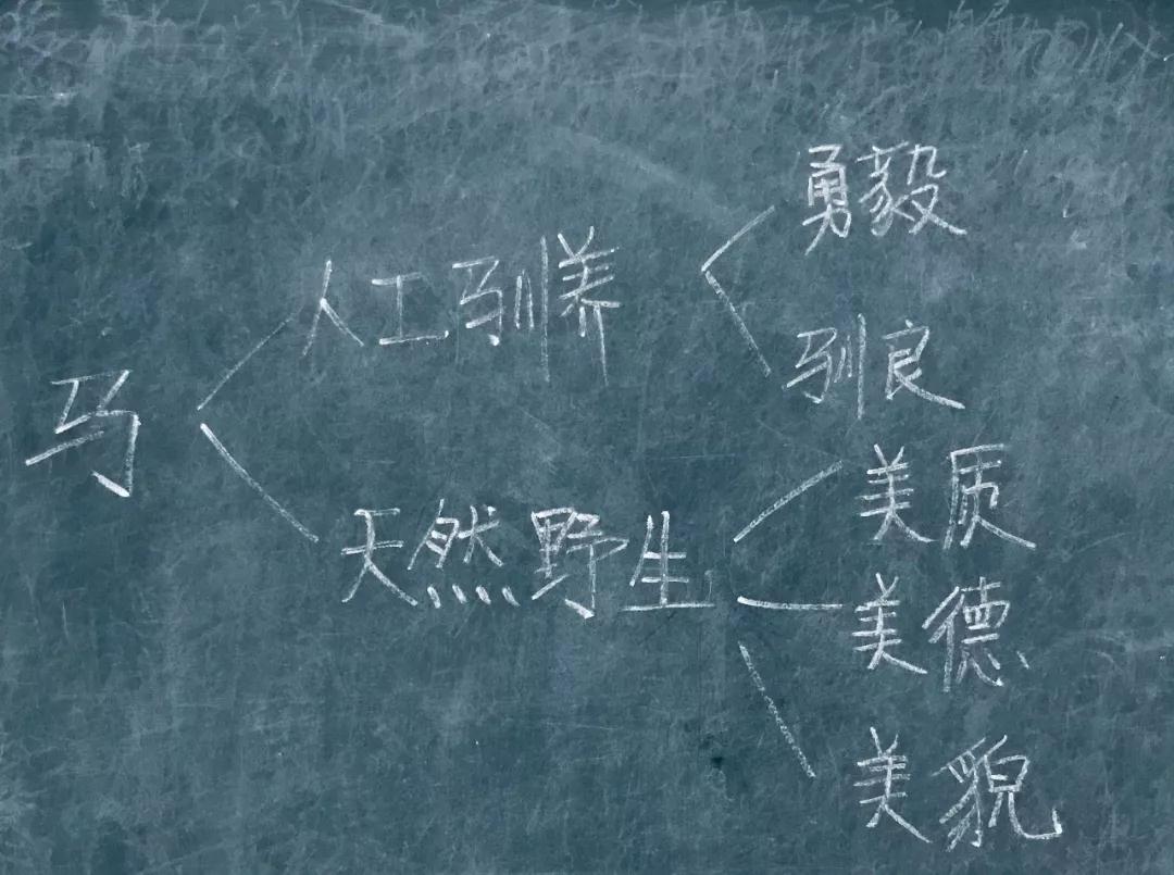 四川教師資格證面試