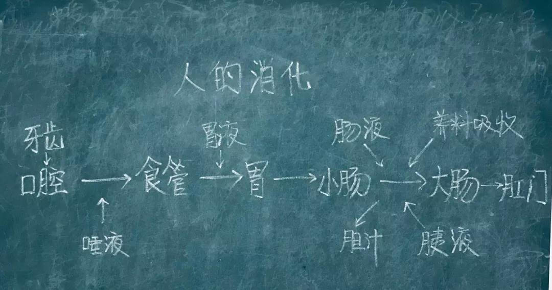 四川教師資格證面試