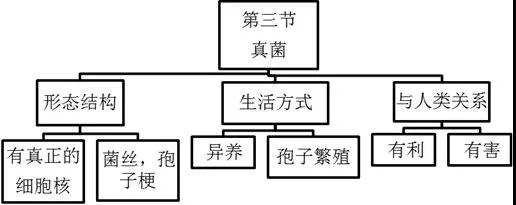 四川中小學(xué)教師資格證面試
