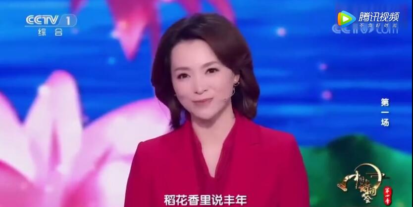 四川普通話,四川普通話水平測試,《中國詩詞大會》