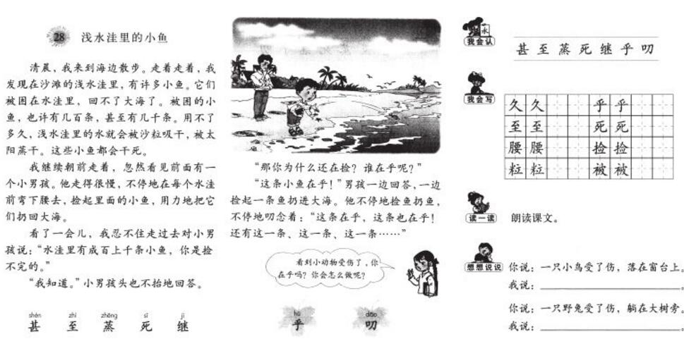 2020上半年四川小學教師資格證考試科目二考點真題整理復習(七)