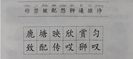 2021下半年四川小學教師資格筆試真題及答案（科目二）1