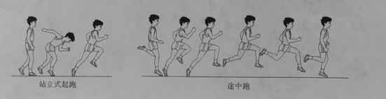 2021下半年四川小學教師資格筆試真題及答案（科目二）6